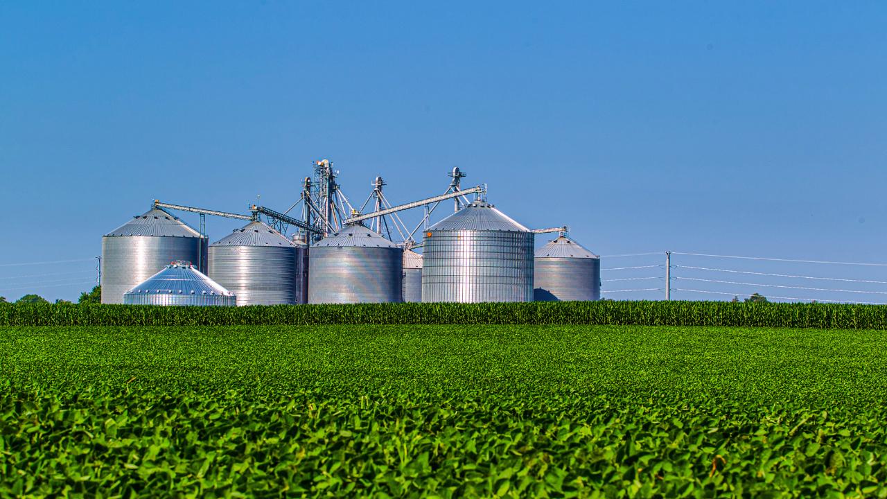 Projetos de Agronegócio no Senegal e Costa do Marfim