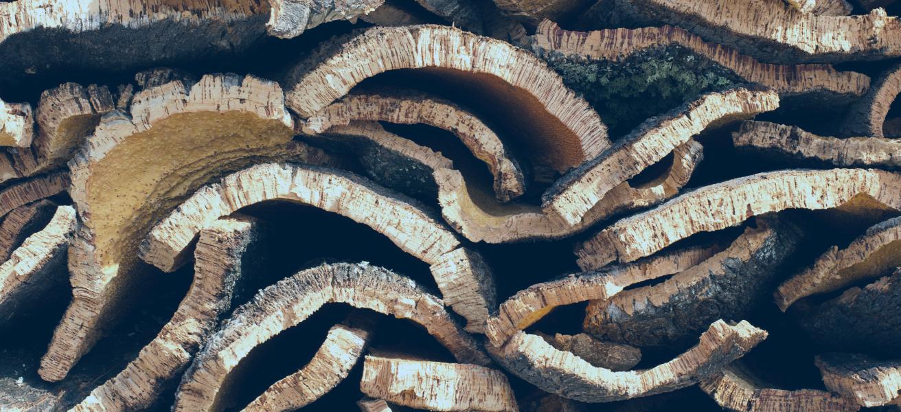 Innovating with Sustainability: A Corticeira Amorim success story