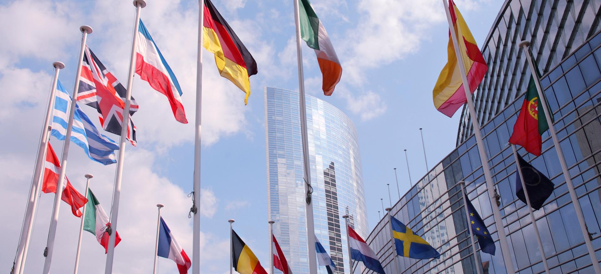 As PME Europeias enfrentam um desafio de crise: estudo revela falta de conhecimentos sobre a nova diretiva da UE