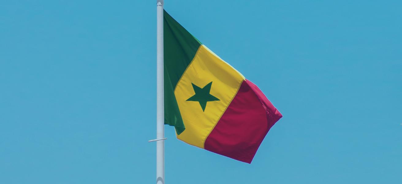 4 oportunidades de negócio no Senegal