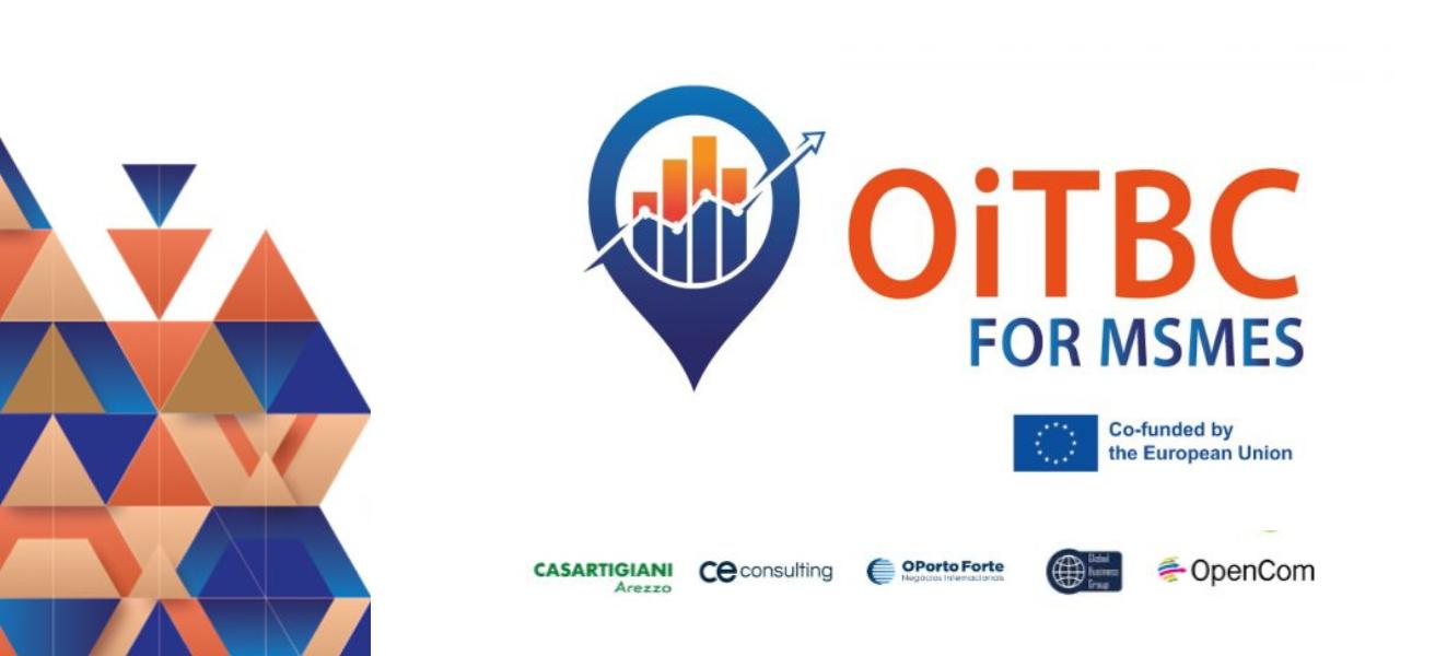  Capacitar as PMEs: A Visão Estratégica do Projeto OIBTC-MSMES para a Gestão de Crises Empresariais