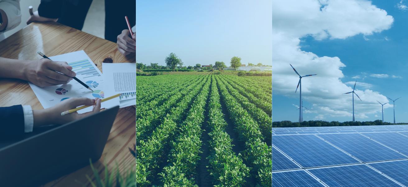 Análise de Mercados Emergentes em África