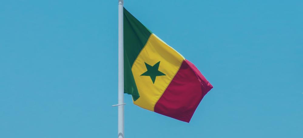 4 oportunidades de negócio no Senegal