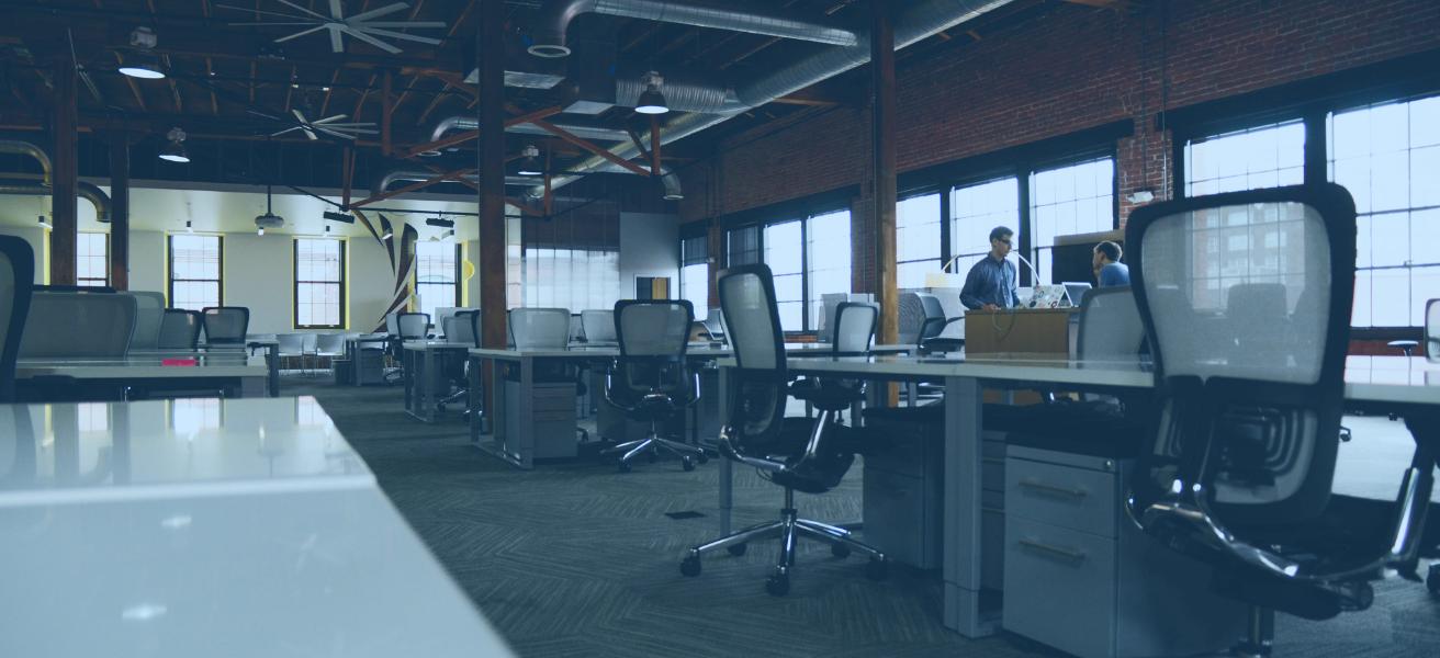 From theory to practice: the 5 indispensable competences in your company