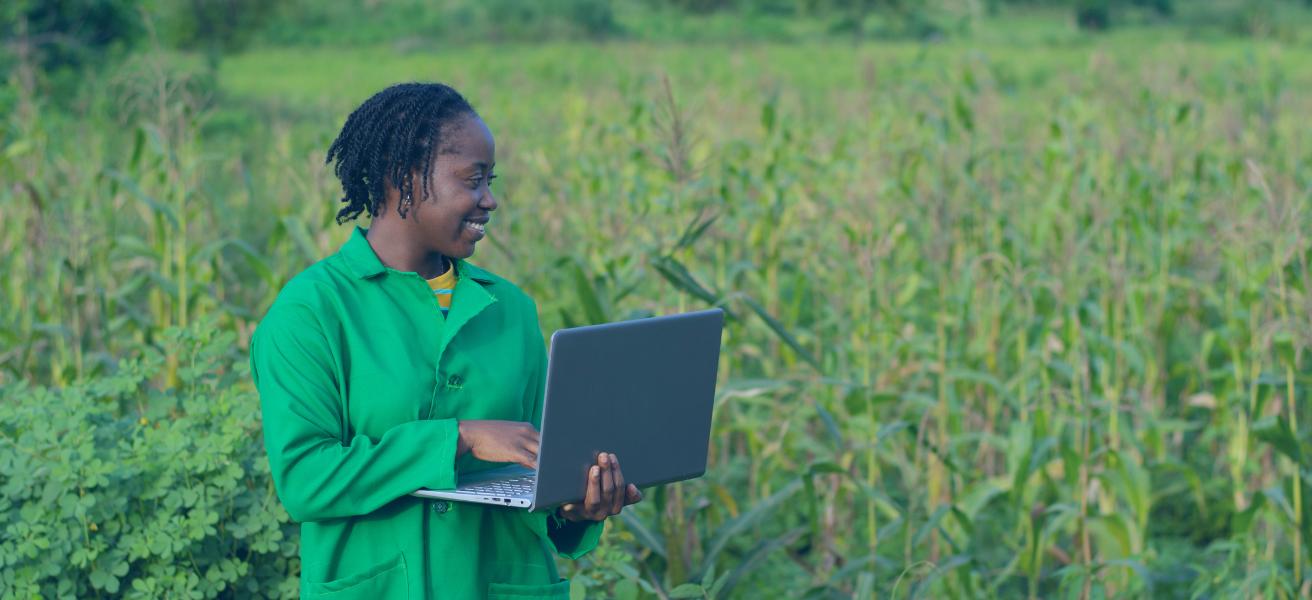 Agro-Success: West Africa's Agricultural Revolution